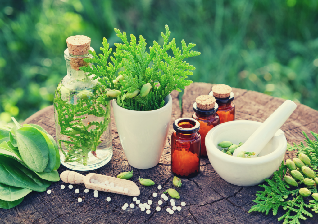 Suivi personnalisé en naturopathie